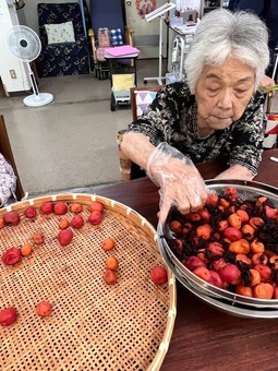 梅シロップ作りのあと、梅干し作りを終わらせる！！1