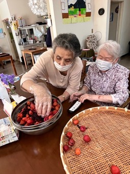 梅シロップ作りのあと、梅干し作りを終わらせる！！4