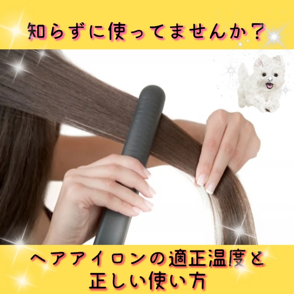 ♥毎日使うヘアアイロン！適切な温度って？♥ | NEWS/BLOG | ヘア