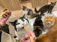 ♡人生初！猫カフェデビュー♡