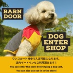 ♡BARN DOORでオシャレランチ＆カフェ♡