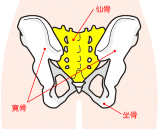 無痛バランス療法（無痛整体）後の厳禁動作の紹介（あぐら座り）