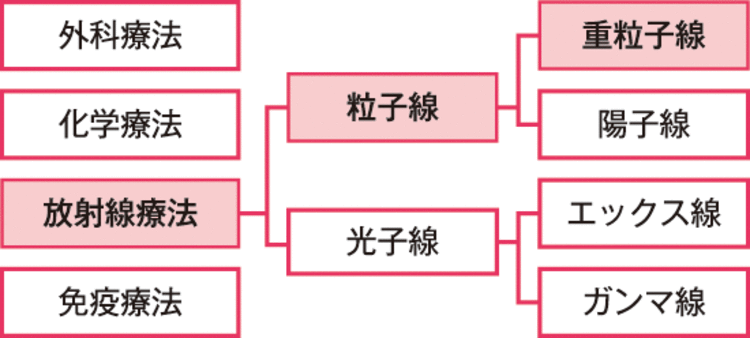 受講講座の紹介「がん重粒子線治療」