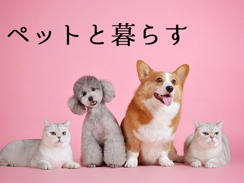ペットを飼いたい人必見!