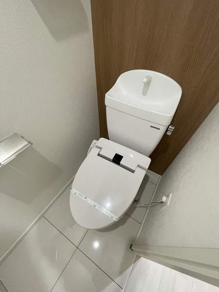 ヴェルテックス
