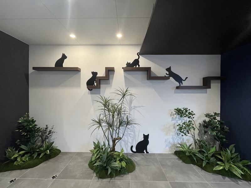 LEGALAND＋猫　MIYAKOJIMA