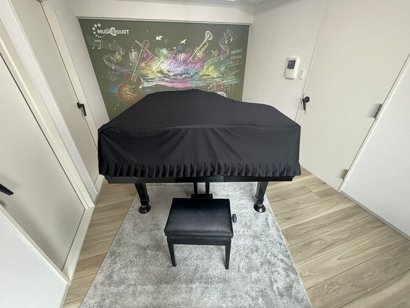THE MUSIC COURT
