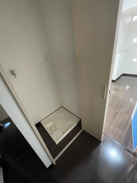 ZEUS　SAKURAGAWA　PREMIUM