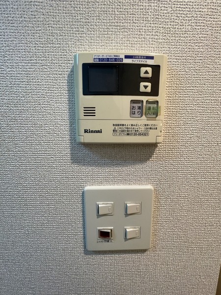ピュアパレスⅡ