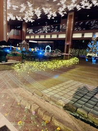 有馬グランドホテルのロビーから見えるクリスマスの景色🎄