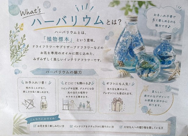 Tsubaki cafe 小さなイベント開催いたします！｜お知らせ・スタッフ