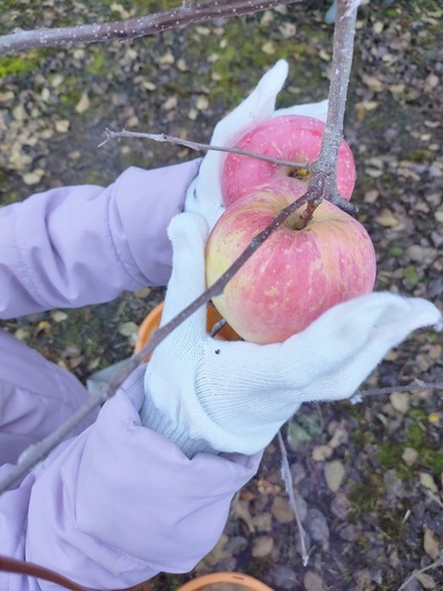 楽しかった活動☆1